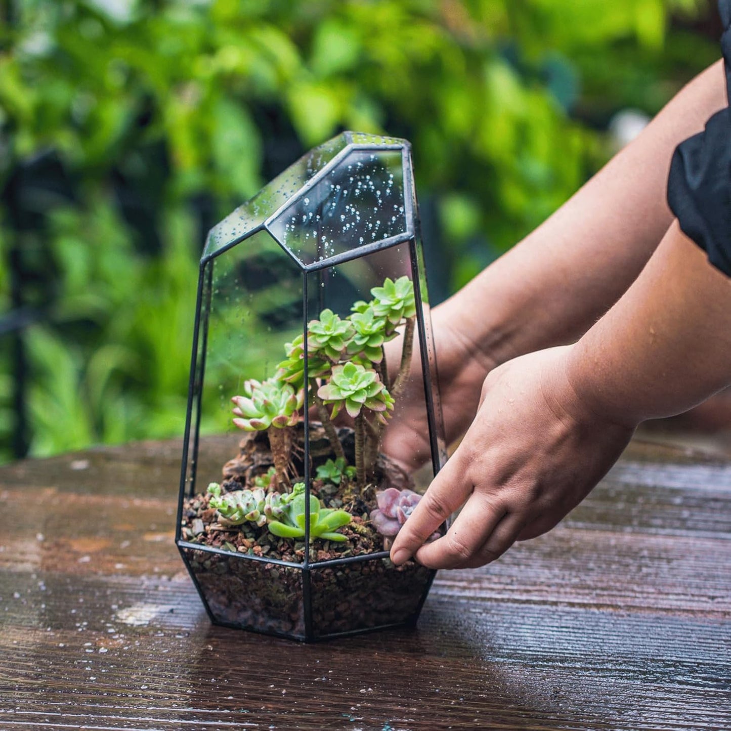 No Door Geometric Glass Terrarium Planter for Small Succulent, Small Cacti, Black Irregular Opened Terrarium Pot, Indoor Home Garden Office Tabletop Decor, 6.5" X 5.7" X 9.8" (No Plants)