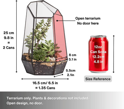 No Door Geometric Glass Terrarium Planter for Small Succulent, Small Cacti, Black Irregular Opened Terrarium Pot, Indoor Home Garden Office Tabletop Decor, 6.5" X 5.7" X 9.8" (No Plants)